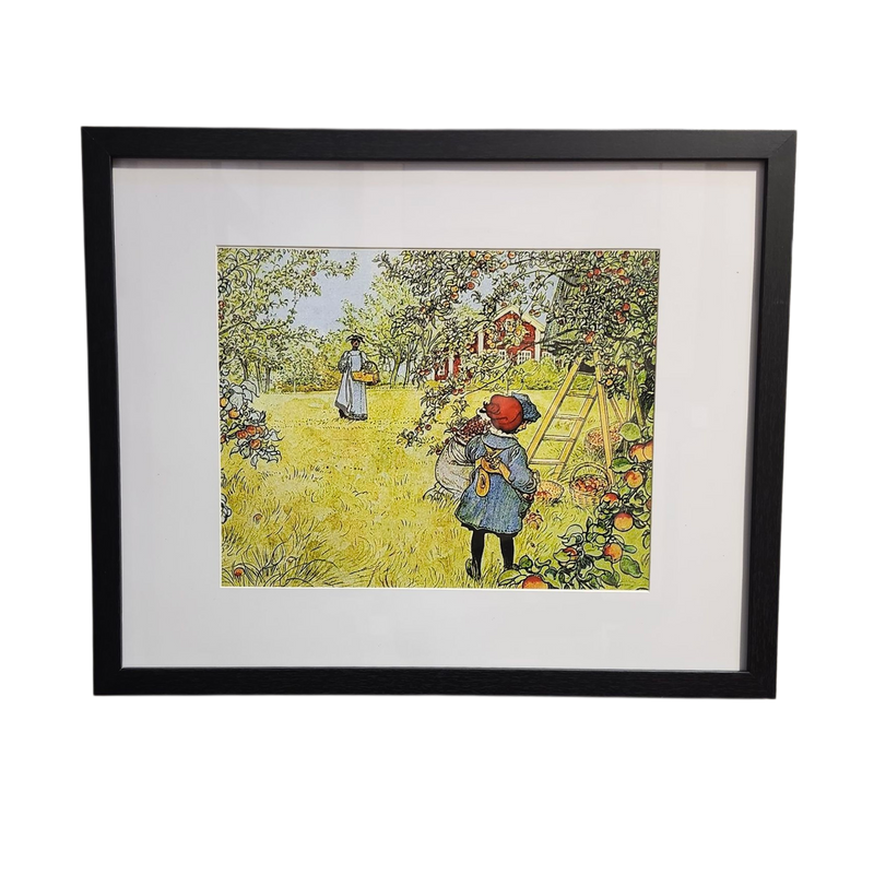 Carl Larsson: The Apple Harvest - Framed Print