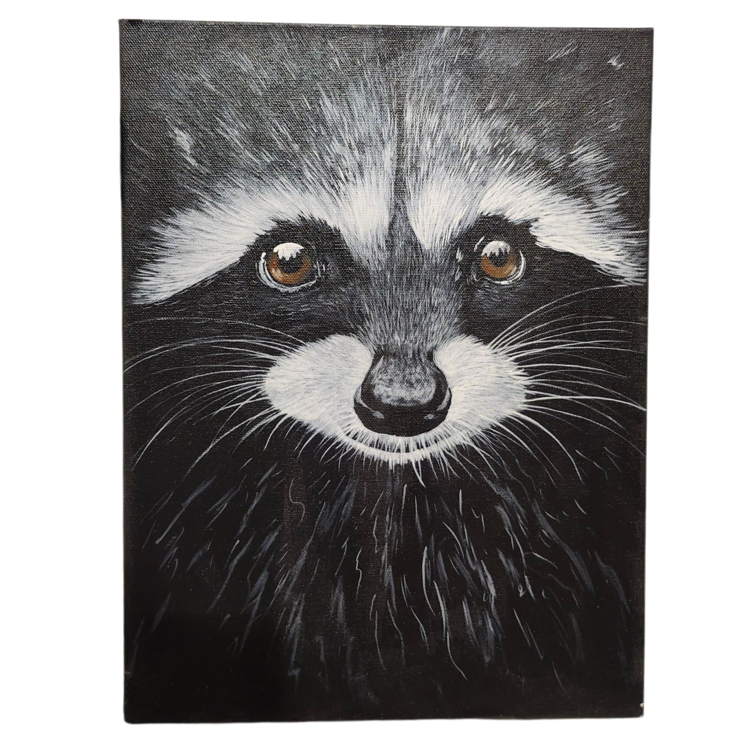 Pam Anderson: Racoon - Original Canvas Painting